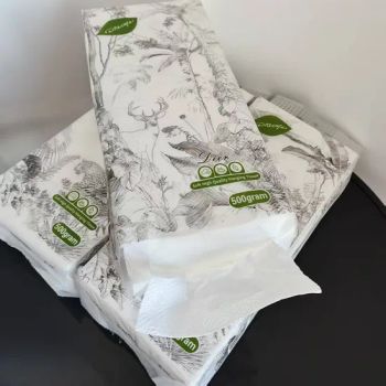 Bulk 4 Ply Eco-Friendly Soft Skin-Friendly Hanging Facial Tissues - Quanzhou Yaosheng Paper Products Co., Ltd. - China