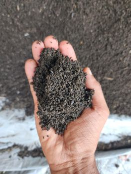 Organic Fertilizer - Moti Organics and Waste Solution - India