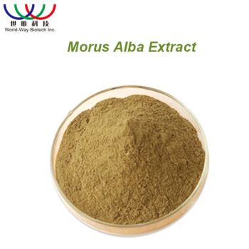 Herbal Supplements Mulberry Leaf Extract 1% 5% Dnj State Powder Origin China Trademark n/a HS Code 130219 Model NO. - World-Way Biotech Inc. - China