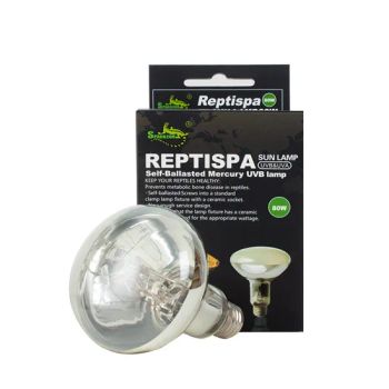 Reptile Sun Light Fixture UVB UVA Blended Mercury Lamp UV Bulb for Reptiles - Bests Industrial and Trading Co., Ltd - China