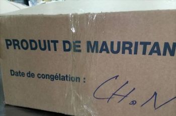MAURITANIA FISH - FISHERIES INTL - Mauritania