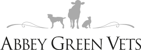 Product – product photo, Animal Feed Rice products found from trusted suppliers, wholesalers, manufacturers & exporters Listing