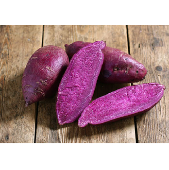 100% Fresh Purple Sweet Potatoes Fresh Style COMMON Potato With Best Price High Quality - NS VINA IMPORT EXPORT TRADING MANUFACTURING COMPANY LIMITED - Vietnam