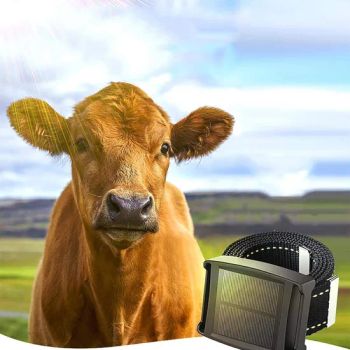 Animal GPS Locator Solar Pet Tracker GPS Tracker for Cattle, Sheep, Horses - Shanghai Yongjia International Trading Co., Ltd. - China