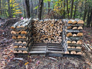 High Quality Hardwood Firewood Logs for Home Heating and Cooking Use from Mutlu Et Mustafa High Quality Hardwood Firewood Logs for Home Heating and Cooking Use - Mutlu Et Mustafa - France