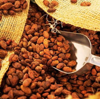 Premium Cocoa Excellence with Freshdi Premium Cocoa (Cacao) Beans - Sosa Merchant Solutions - Austria