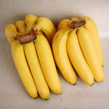 Fresh Cavendish Banana from PT. Komoditas Asli Indonesia Fresh Cavendish Banana - PT. Komoditas Asli Indonesia - Indonesia