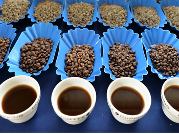 Kenyan Arabica Green Coffee Beans | High Altitude | Specialty Grade - Allthatnet - South Korea