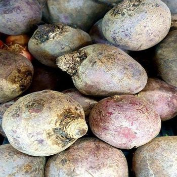 Fresh beetroot Color Red Size 10 Cm Style Fresh Maturity 100% Brand Name Oem Colour Purple Red Shelf Life 3 Months Packing 10kg/carton - SOURCE GLOBAL TRADING GROUP - South Africa