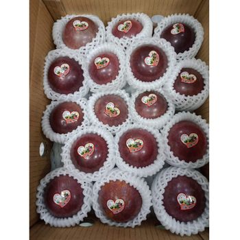 100% Natural Mature Star Apple Organic Fresh Fruit in Carton Box 8 Days Shelf Life Agriculture Products - CHANH THU EXPORT AND IMPORT FRUIT COMPANY LIMITED - Vietnam