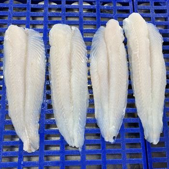 Vietnam Manufacture Fresh Frozen Cream Dory Fish Fillet Shape Block Style Frozen Grade High Quality Shelf Life 24 Month Size 170 - 220 Cm, 220 Gr - TANIS IMPORT & EXPORT COMPANY LIMITED - Vietnam