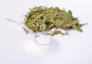 Stevia Sweetener (with Maltodextrin) - SHEXPORT INTERNATIONAL LLC - Bolivia, Plurinational State of