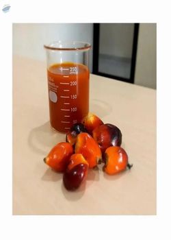 Palm Oil - FreshNutrient Global Agro-Allied Limited - Nigeria