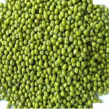 High Quality Organic Pure Green Mung Beans Whole Dried Style Bulk Packaging Cheap Wholesale Price - VERTEX TRADING LIMITED - United Kingdom