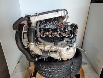 TOYOTA LANDCRUISER 76/78/79 SERIES 10/2016-2024 ENGINE 4.5L DIESEL 1VD-FTV TURBO -  DAEWKAEW PANTAMANG Co., Ltd - Thailand