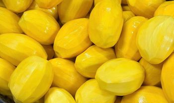 IQF Frozen Keo Mango for Smoothie Dessert & Beverage Manufacturers | Vietnam Export Supplier - 99 Gold Data - Vietnam