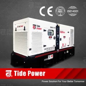 100kVA 200kVA 300kVA High Quality Rental Spec Silenced Diesel Generator - TIDE POWER TECHNOLOGY CO., LIMITED - China