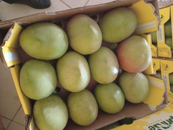 Fresh apple mango - JOME EC CARGO SERVICES  - Kenya