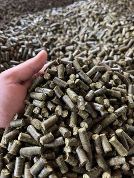 Hemp pellets for feed production Fat Content 8-10 % Ash Content 20-21 % Country Of Origin Eu Fiber Content 40-44 % Moisture Content <8 % - UAB AGREJA - Lithuania