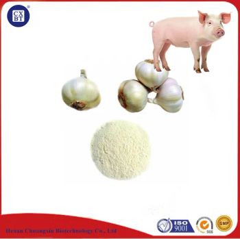 White Garlic Extract Powder 20% 25% Allicin Powder Extract for Aquaculture - Henan Chuangxin Biological Technology Co., Ltd. - China