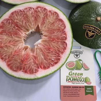 Fresh Pomelo From Vietnam Grade A Fresh Fruit Premium Quality Best Seller Fresh From Farm -WA LINDA 0084989322607 - Sunrise Ins Group - Vietnam