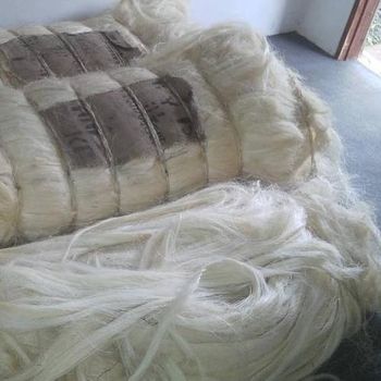 Natural Sisal Fibers, High Quality, Wholesale Bulk Supply, Cheap and Affordable - A.C.P. AGRICULTURE COMPANY LIMITED - Thailand