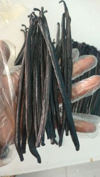 Vanilla – product photo, Vanilla products found from trusted suppliers, wholesalers, manufacturers & exporters Listing