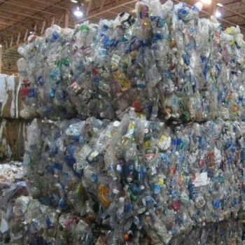Clear PET Bottle Scrap Bulk Hot Washed PET Flakes Fresh Quality Factory Production Wholesale Cheap Price from A.C.P. AGRICULTURE COMPANY LIMITED Clear PET Bottle Scrap Bulk Hot Washed PET Flakes Fresh Quality Factory Production Wholesale Cheap Price - A.C.P. AGRICULTURE COMPANY LIMITED - Thailand