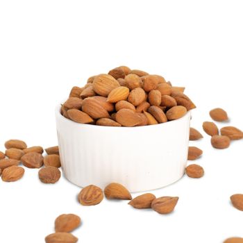 Fresh Harvest Style Dried Apricots Kernels With Nutritious Seed Quality Packed - malter group - Tanzania