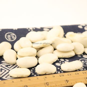 Wholesale 40pcs 50pcs 100g Large Size White Kidney Beans Butter Beans from Hebei Nihewan Agricultural Development Co., Ltd. Wholesale 40pcs 50pcs 100g Large Size White Kidney Beans Butter Beans - Hebei Nihewan Agricultural Development Co., Ltd. - China