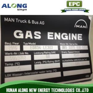 Germany Man Gas Engine Generator Set - Hunan Along New Energy Technologies Co., Ltd. - China