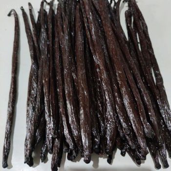 Vanilla Planifolia Beans Indonesia from Anugerah Sumber Kaya Vanilla Planifolia Beans Indonesia - Anugerah Sumber Kaya - Indonesia