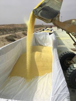 SULPHUR GRANULES - Tech Soluutions LLC - United States