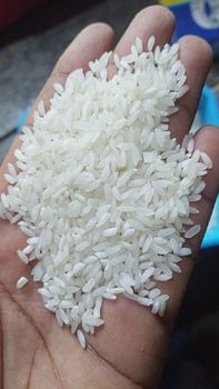 SWARNA RICE - 5% BROKEN Grade A-GRADE Packaging 25 KGS PP BAGS Cultivation Type - HNR TRADEX INC - India