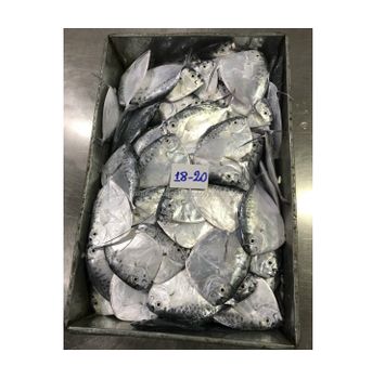 Vietnam Seafood Supplier Frozen Sea Frozen Moonfish Whole round for sale - NATURAL FOODS PLUS COMPANY LIMITED - Vietnam