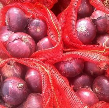 Red Yellow Onion Wholesale Yellow Onions Cebolla Oignon Color Red, Yellow Shape Round, Oval Shelf Life 2 years Form Fres - Thai Agri Company - Thailand