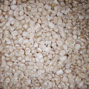 Maize grain from W34 General Trading and Produce Supplies Maize grain - W34 General Trading and Produce Supplies - Uganda