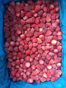 Frozen fruit and vegetable Grade Grade A Frozen Method Iqf Shelf Life 18 Months Average Delivery Method By Container Traceability Full - Paseo ltd t/a VitaFrostFoods - United Kingdom