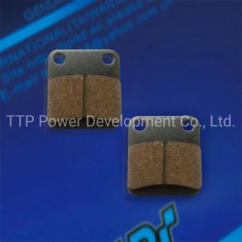 Cg Motorcycle Disc Brake Pads Motorcycle Accessories - TTP Power Development Co., Ltd. - China