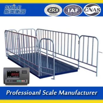 China Veterinary Floor Stationary Weighing Fish Portable Horse Livestock Scale Animal Scales - Qingdao SIMEI Weighing Apparatus Co., Ltd. - China