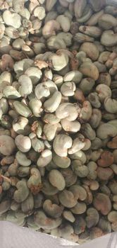 Raw Cashews Nuts - Lewit Limited  - Kenya