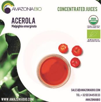 Organic Acerola Concentrated Juice - Clarified 65° - AMAZONIA BIO - Belgium