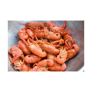 Hot Sell Soft Bionic Artificial Lobster Fishing Lure Crawfish Shrimp Fishing Soft Plastic Prawn Lure Hot Sell Soft Bionic Artificial Lobster Fishing Lure Crawfish Shrimp Fishing Soft Plastic Prawn Lure Hot Sell Soft Bionic Artificial Lobster Fishing Lure Crawfish Shrimp Fishing Soft Plastic Prawn Lure - GLOBOTO TRADE BRASIL LTDA - Brazil