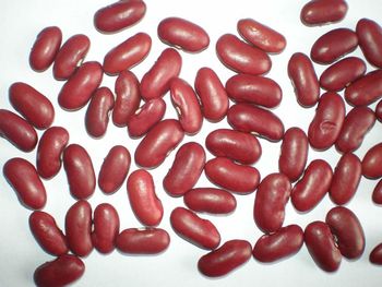 RED kidney beans - sjz Darling trading  - China