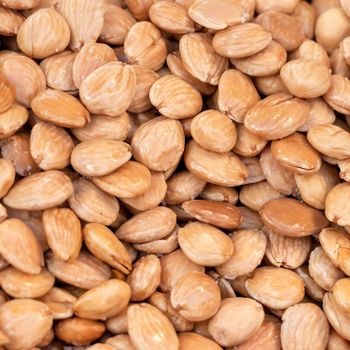 Authentic Marcona Almonds Premium Whole Kernels Fresh Buttery Texture High Nutrition Ideal For Bulk Orders And Industrial Use Buy Now Fast Delivery Premium Quality Wholesale – product photo, Bulk Almonds products found from trusted suppliers, wholesalers, manufacturers & exporters Listing