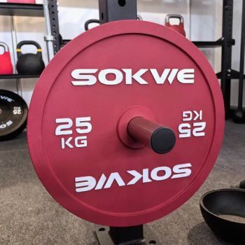Electroplated Steel Plates Cast Iron Plates Precision Barbell Plates Home Fitness Equipment Commercial Strength Equipment Accessories - Rizhao Ape Fitness Co., Ltd. - China