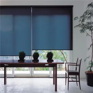 Popular Blinds Transparent Horizontal Roller Blinds Kind Slat Origin China Style Modern Open Type Manual Model NO. - Shouguang Sunrise Industry Co., Ltd. - China