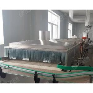 Auto Bottled Tomato Salad Sauce Chili Sauce Peanut Butter Tunnel Steriliser Roller Sterilizer Water Bath Sterilization Machine - Shanghai Leadworld Machinery Technology Co., Ltd. - China