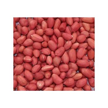 Bulk supply Peanuts wholesale top grade premium export quality - HIGHPROFILE AGRICULTURE SERVICES LIMITED - Tanzania