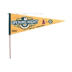 Fashion Party Decoration Polyester Fabric Display Custom Printed Felt Flag - Swil Limited - China